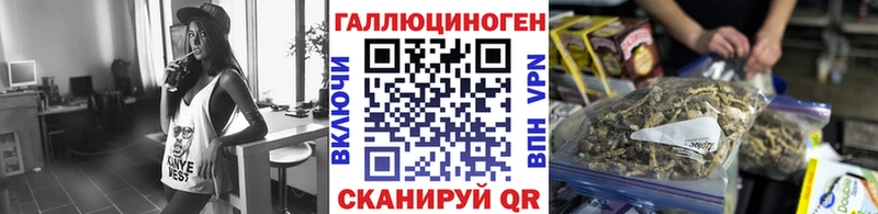 Купить  Нефтекамск  Псилоцибиновые грибы GOLDEN TEACHER 